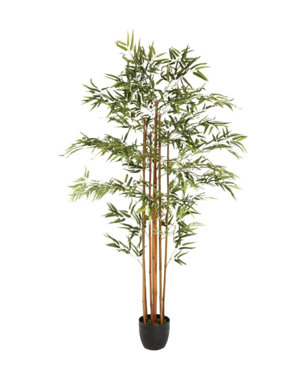 BAMBOO - CÂY NHÂN TẠO