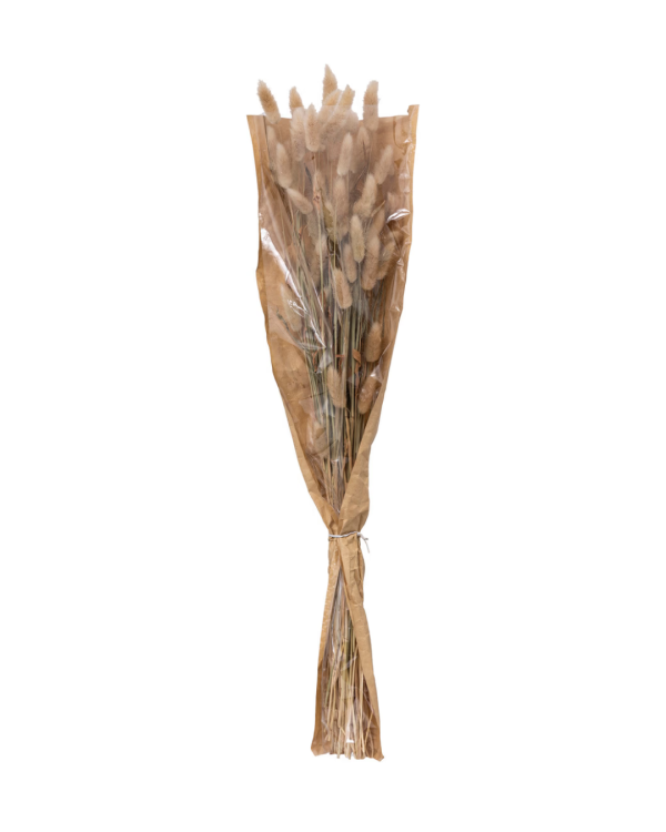 BUNNY TAILS - HOA KHÔ
