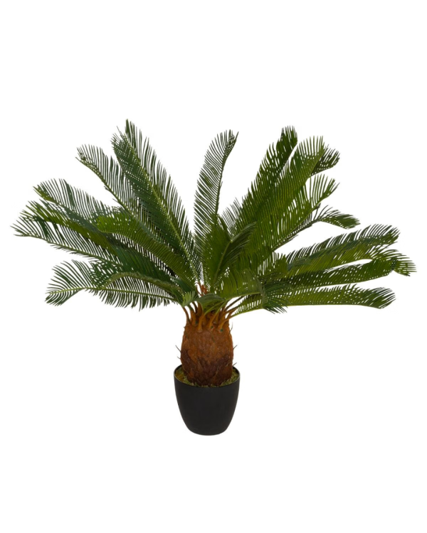 CYCAS - CÂY NHÂN TẠO