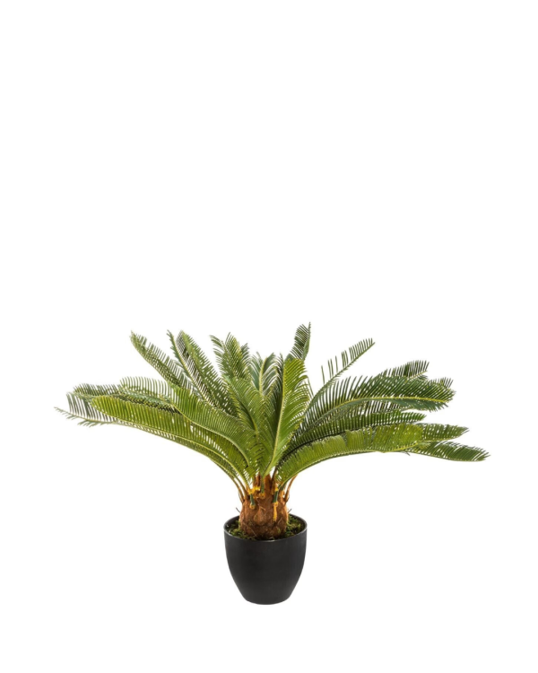 CYCAS - CÂY NHÂN TẠO