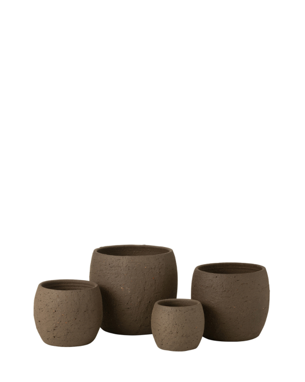 ENYA "MARRONE" - CHẬU