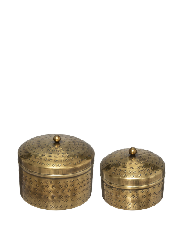 OASIS - HỘP ĐỰNG