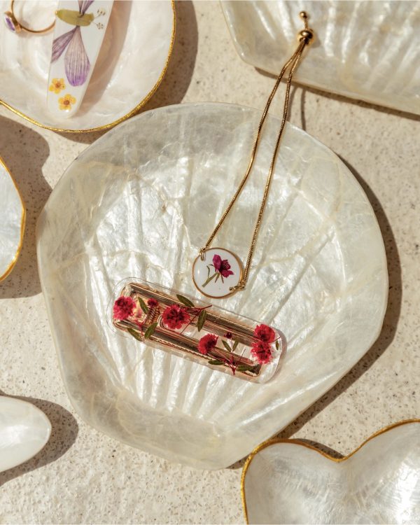 KATOS "SCALLOP" - KHAY TRANG TRÍ