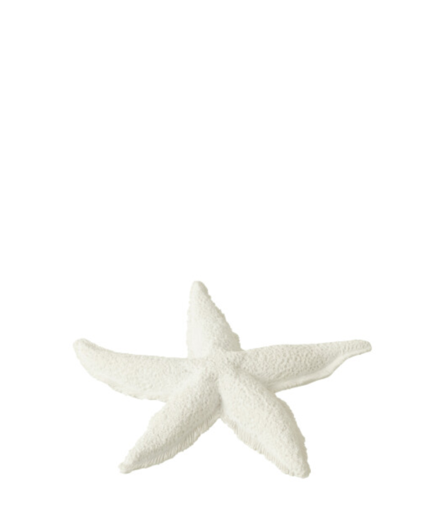 STELLA DI MARE - ĐỒ TRANG TRÍ