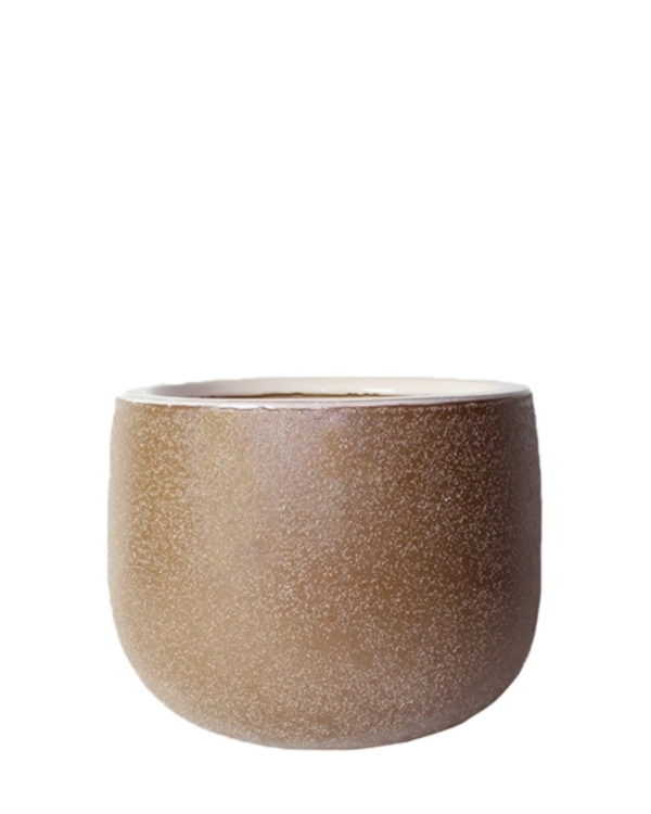 TRENAN - CHẬU CÂY