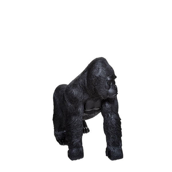 GORILLA - TƯỢNG