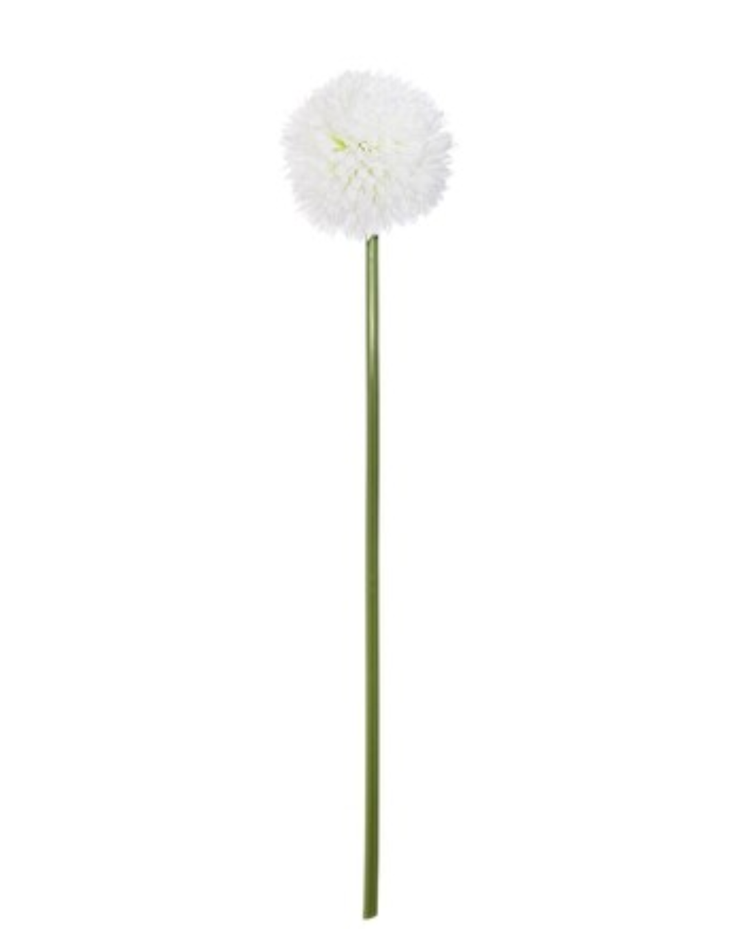 Daisy ball stem white pic 2