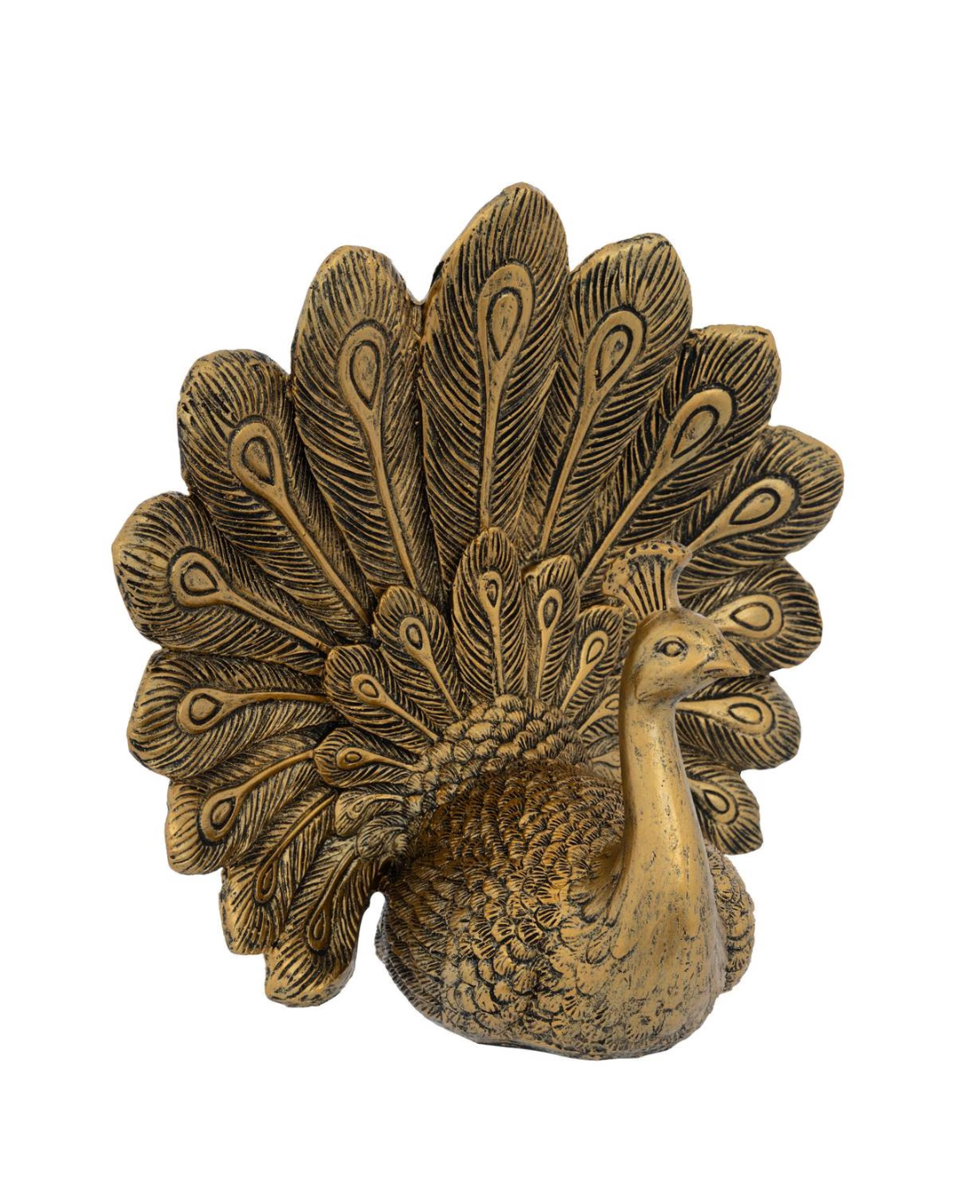 Peacock decorative pic 1