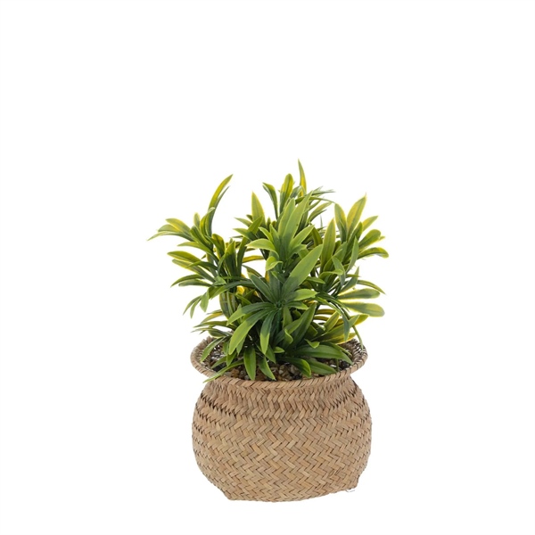 PANIER - CÂY NHÂN TẠO