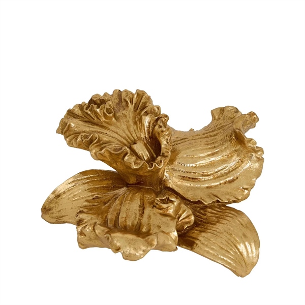 BELLIFLO - ĐỒ TRANG TRÍ