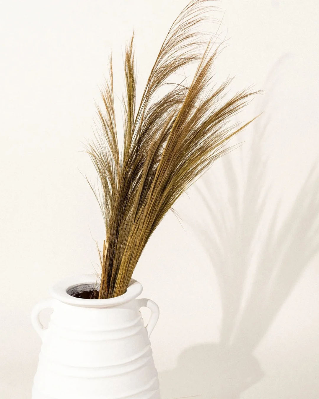 ALAS - DRIED GRASS (1)