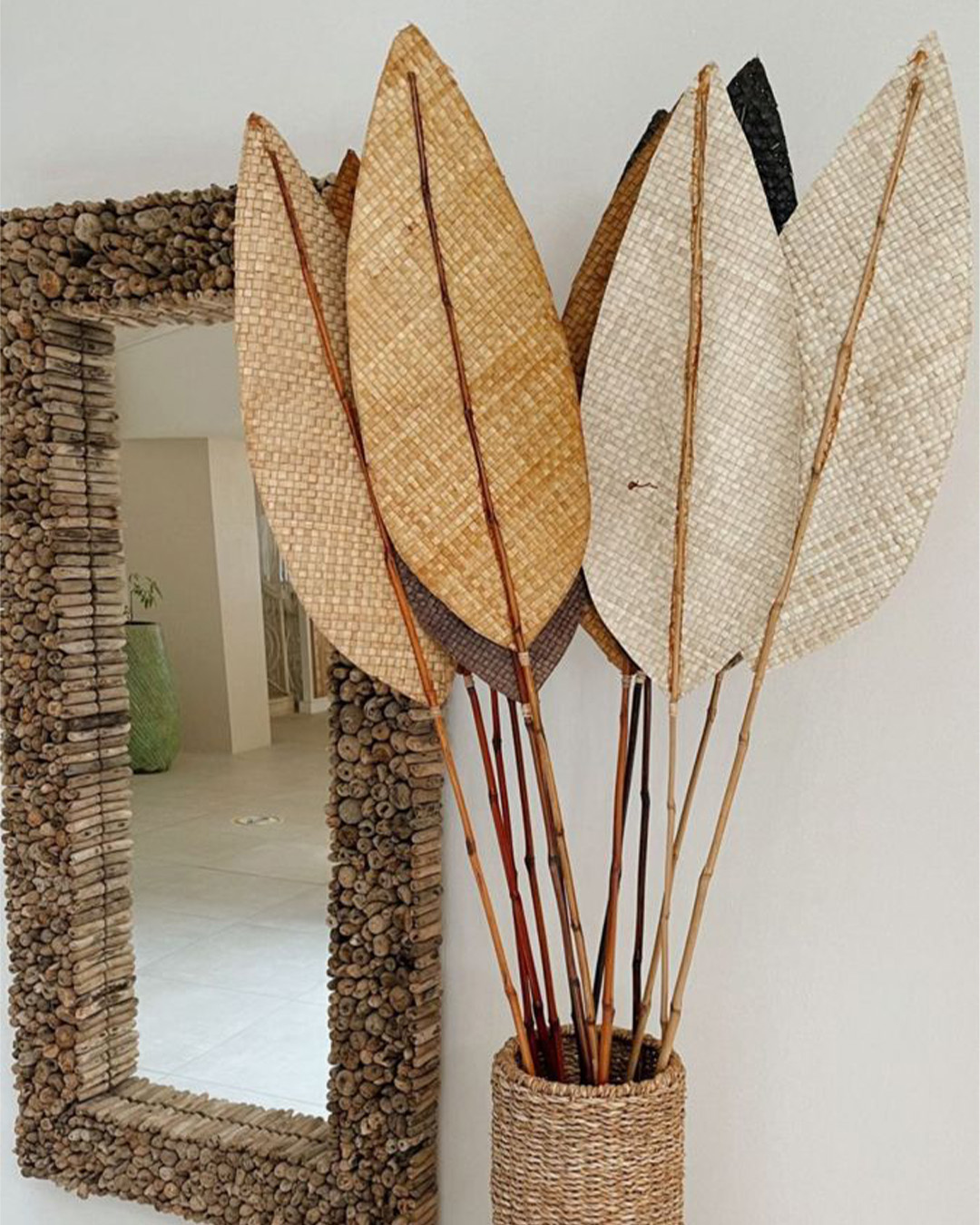 BUGAMATARI dried plant (3)