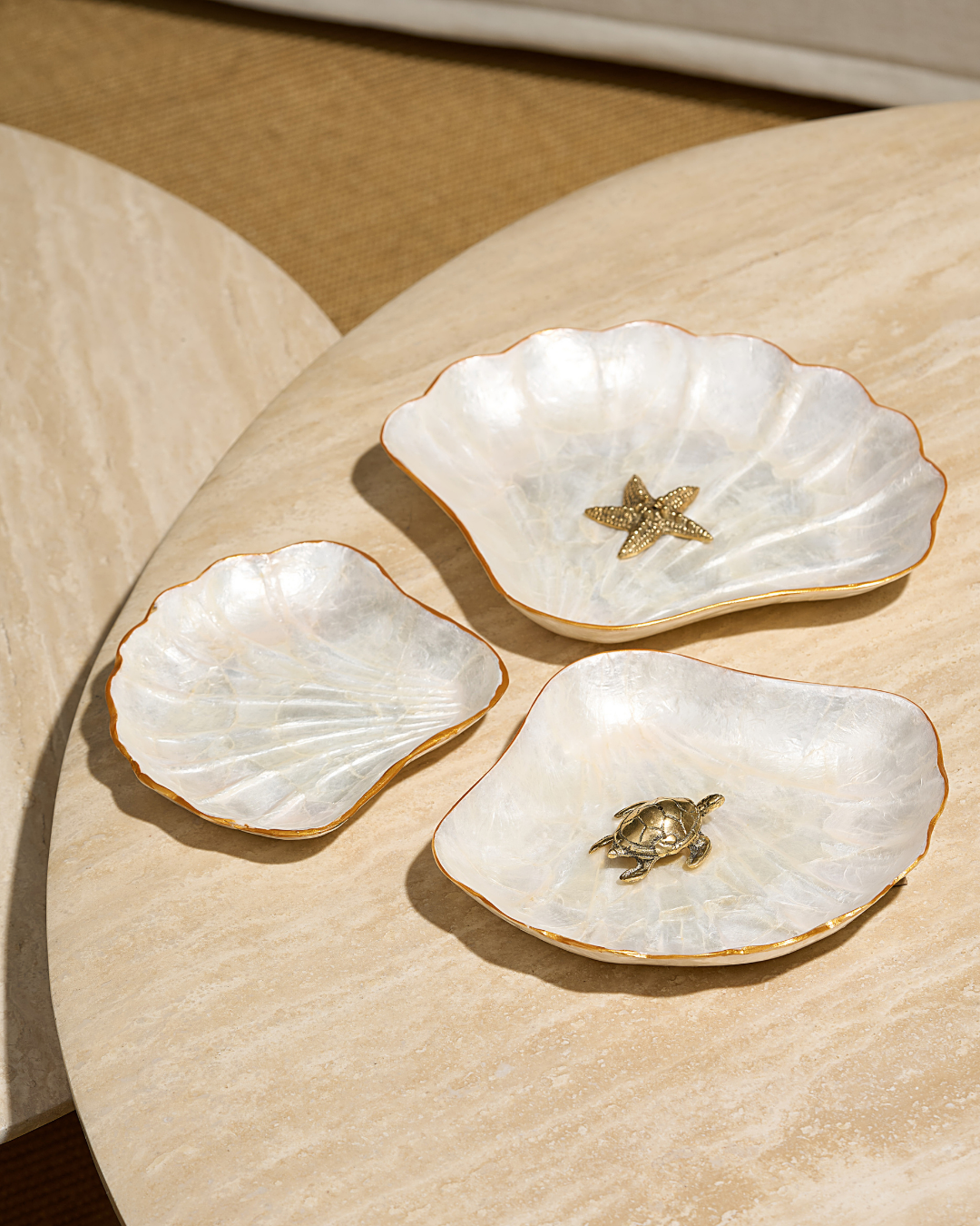 KATOS - FAN SHELL (2)