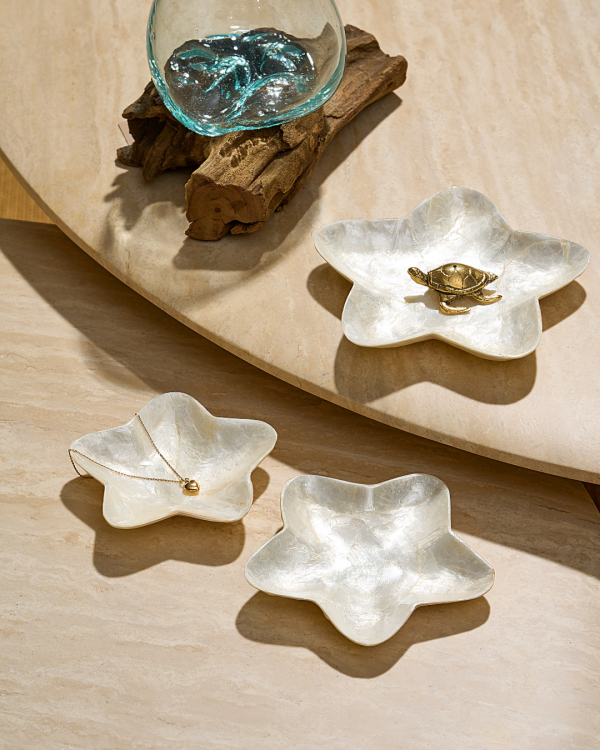 KATOS "SEASTAR" - KHAY TRANG TRÍ