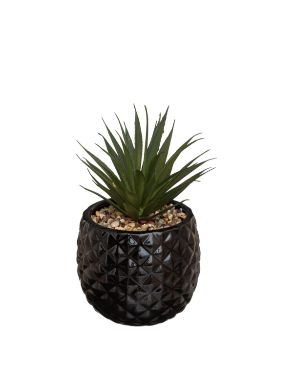 PINEAPPLE ART - CÂY NHÂN TẠO - ĐEN/ BLACK