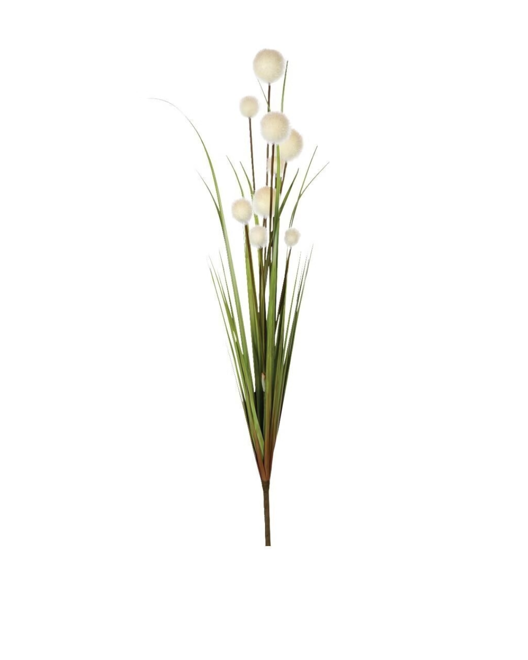 Reed ball stem pic 1